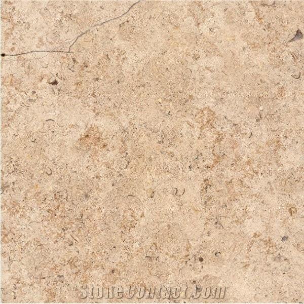 Coquina Limestone
