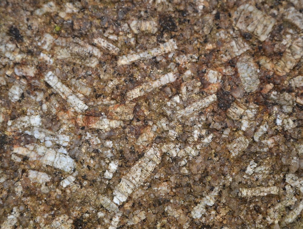 Porphyritic Granite